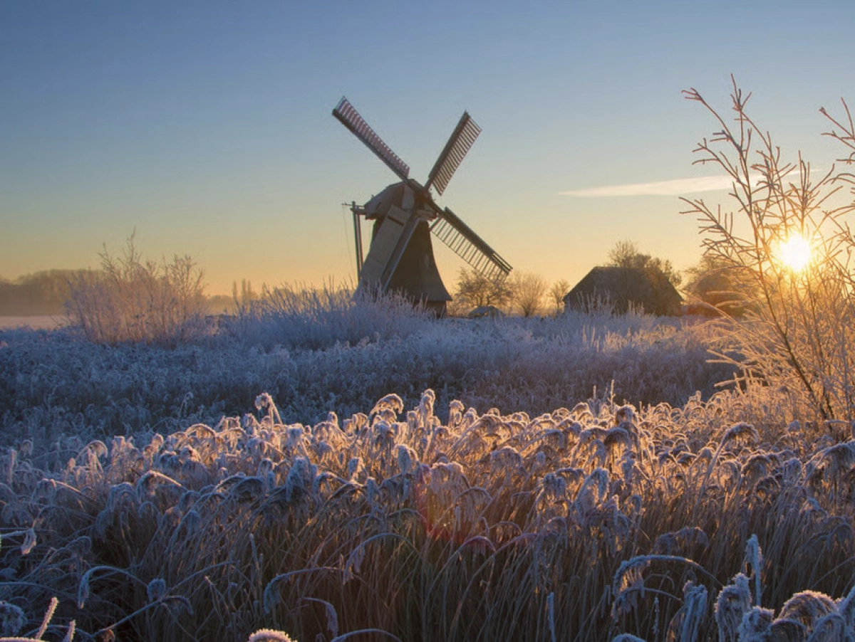Nazomeren in Kardinge!